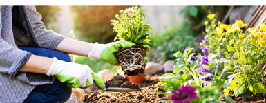 How To Be An Eco-Friendly Gardener