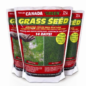 Canada Green Grass Seed