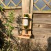 Wine Bottle Bird Feeder