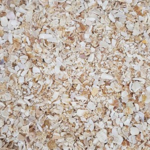 Crushed Sea Shells - Bulk Bag