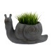 Blue Iron Effect Snail Planter