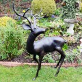 Stag Statue