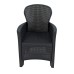 Sicily All-Weather Plastic Rattan Armchair (Pack of 2)