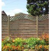 Fencing & Trellis