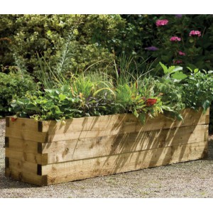 Caledonian Trough Raised Bed