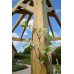 Radial Premium Pergola