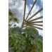 Radial Premium Pergola