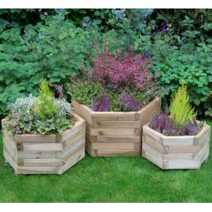 York Hexagonal Planter Set of 3