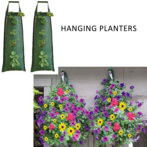 Long Hanging Planters (Pack of 2)