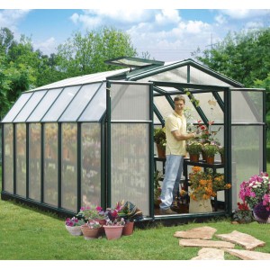 Rion Hobby 8 x 12 Greenhouse