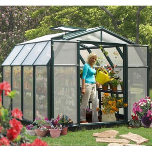 Rion Hobby 8 x 8 Greenhouse