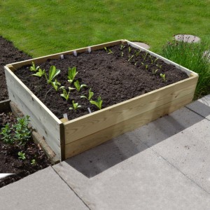 Rectangular Wooden Raised Bed