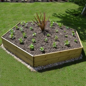 Hexagonal Wooden Raised Bed