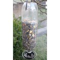 Bottle Bird Feeder