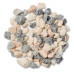 Natural Coral Chippings - Bulk Bag