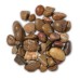 Coastal Shore Pebbles - Bulk Bag