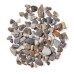 Marbled Oyster Pebbles - Bulk Bag