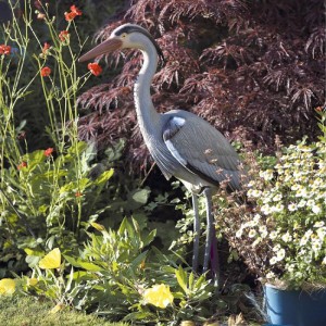 Decoy Heron