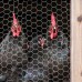 13mm Chicken Wire Fencing
