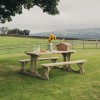 Picnic Benches