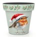 Christmas Planter - Holly & Robin