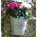 Blenheim Recycled Wall Planter - Grey