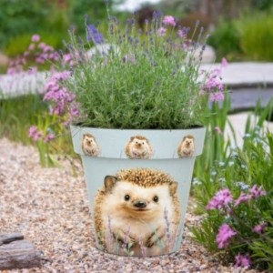 Zest Recycled Planter - Hedgehog