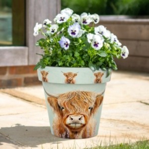 Zest Recycled Planter - Highland Cow