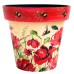 Zest Recycled Planter - Poppies & Bees
