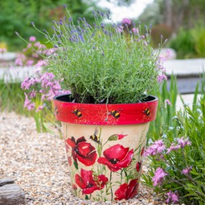 Zest Recycled Planter - Poppies & Bees