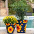 Zest Recycled Planter - Sunflower