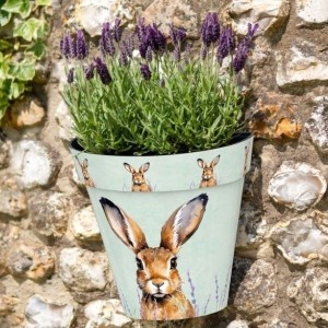 Zest Recycled Wall Pot - Hare