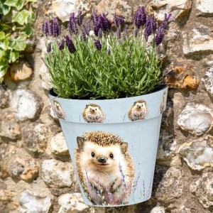 Zest Recycled Wall Pot - Hedgehog