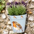 Zest Recycled Wall Pot - Robin