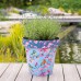 Zest Recycled Planter - Watercolour Birds
