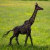 Bronze Giraffe Sculpture