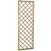 Hidcote Lattice 180 x 60cm