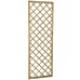 Hidcote Lattice 180 x 60cm