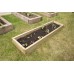 Caledonian Long Raised Bed