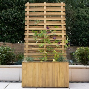 Living Screen Planter