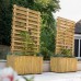 Living Screen Planter