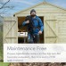 Beckwood Shiplap Pressure Treated 6 x 4 Double Door Apex Shed