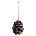 Pinecone Bird Feeder