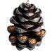 Pinecone Bird Feeder