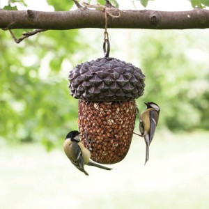 Acorn Bird Feeder