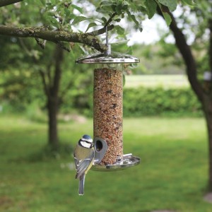 Stainless Steel Birdseed Feeder