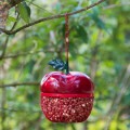 Apple Shaped Bird Feeder