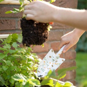 Bee Print Trowel