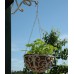 Cast Iron Hanging Basket 12"