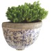 Ceramic Wall Planter